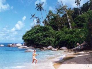 Aree * Lamai Beach (Koh Samui)